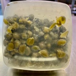 Capone Foods Capers In Salt